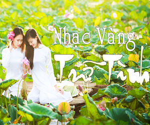 Nhạc Trữ Tình